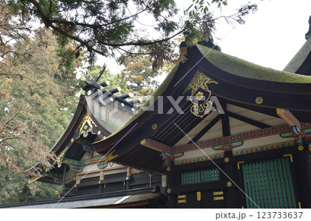 雨の香取神宮　本殿　側面(千葉県香取市) 123733637