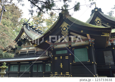 雨の香取神宮　本殿　側面(千葉県香取市) 123733638