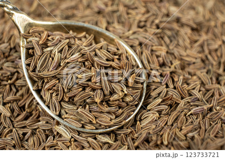 Whole cumin seeds Carum carvi L. in a spoon close-up 123733721