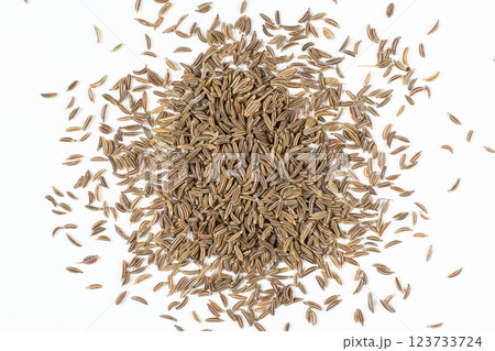 Dried Cumin Seeds Close-Up Culinary Ingredient on White Top View 123733724