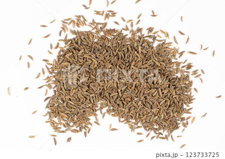 Dried Cumin Seeds Close-Up Culinary Ingredient on White Top View 123733725