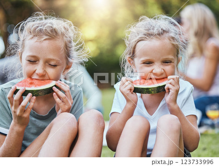 Happy, picnic and watermelon with children in park with family for summer, wellness and relax. Health, nature and spring with kids eating fruit in countryside field for peace, friends and food 123733996