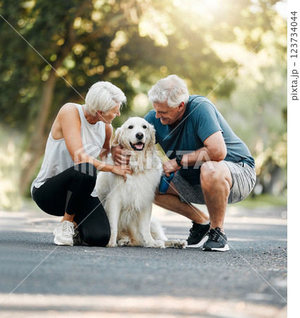 Dog walk, nature and senior couple walking their pet for exercise on a road in Germany together. Happy, calm and healthy elderly man and woman training their animal on a street park in summer 123734044