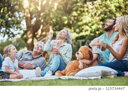 Happy big family, park picnic and love bonding, happiness and joy for reunion together smile in outdoor nature. Elderly Grandparents, mother and dad playing outside with excited girl children or kids 123734447