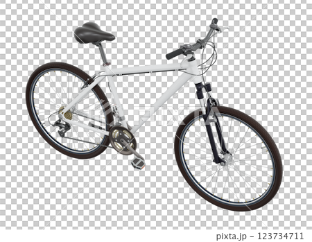 White bicycle, side top view isolated on white background, 3D illustration 123734711