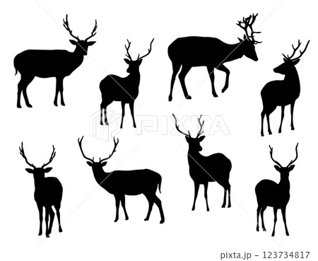 Deers silhouettes set isolated on white background. Vector illustration 123734817