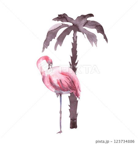 Monochrome watercolor palm tree and flamingo. Watercolor illustration of tropical tree and pink bird. Silhouette of flamingo and tropical tree. Template for summer tropical designs on white background Monochrome watercolor palm tree and flamingo. Watercolor illustration of tropical tree and pink bird. Silhouette of flamingo and tropical tree. Template for summer tropical designs on white background 123734886