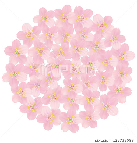 ソメイヨシノ　桜　花　フレーム素材 123735085
