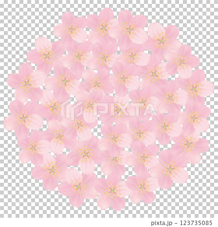 ソメイヨシノ　桜　花　フレーム素材 123735085