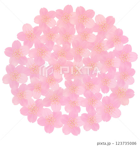 ソメイヨシノ　桜　花　フレーム素材 123735086