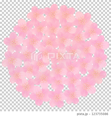 ソメイヨシノ　桜　花　フレーム素材 123735086