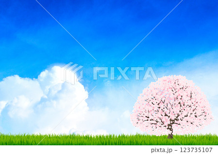 青空と一本桜 123735107