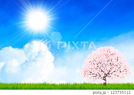 青空と一本桜 123735112