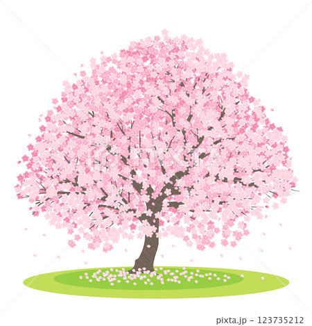 一本桜 123735212