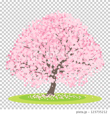 一本桜 123735212
