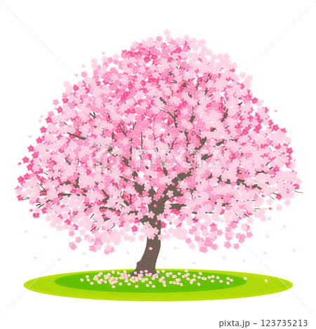 一本桜 一本桜 123735213