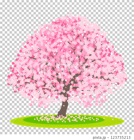 一本桜 一本桜 123735213