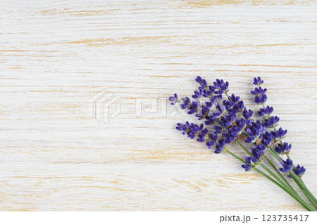 Bouquet of blooming lavender flowers on white wooden background with copy space, top view 123735417
