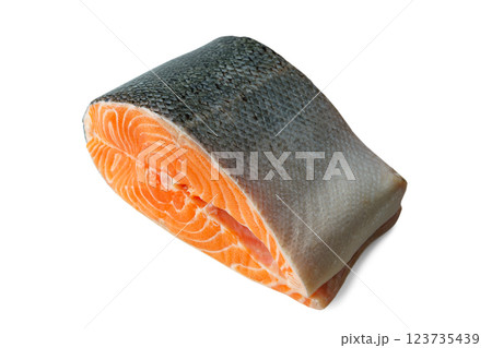 Fresh raw salmon or trout steak, fillet isolated on white background, seafood, food ingredient Fresh raw salmon or trout steak, fillet isolated on white background, seafood, food ingredient 123735439