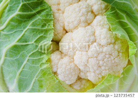 Head of organic fresh ripe white cauliflower cabbage with green leaves macro, raw food background 123735457