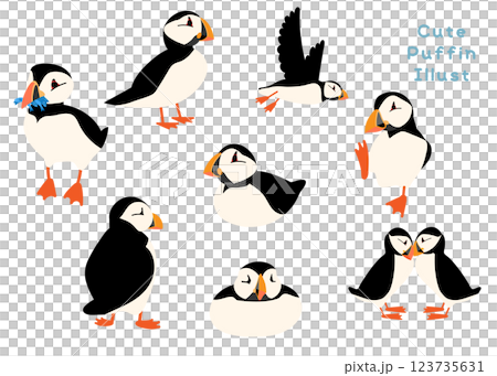 Bird Week Puffin Atlantic puffin Wild bird Bird 123735631