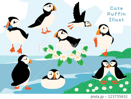 愛鳥週間 パフィン ニシツノメドリ 野鳥 鳥 愛鳥週間 パフィン ニシツノメドリ 野鳥 鳥 123735632