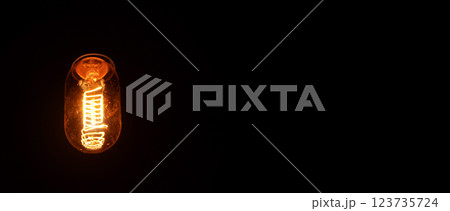 Retro looking light bulb glowing on dark background, bright wire visible in glass, space for text right side 123735724