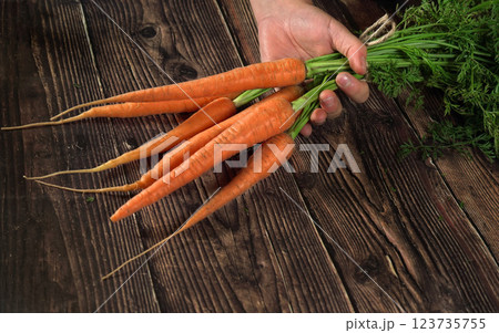 Hand holding bunch of red carrots with green leaves over dark wooden board Hand holding bunch of red carrots with green leaves over dark wooden board 123735755