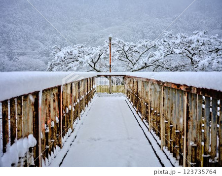積雪の豊永駅　高知　歩道橋 123735764