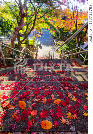 港北ニュータウン・心行寺の紅葉 123735798