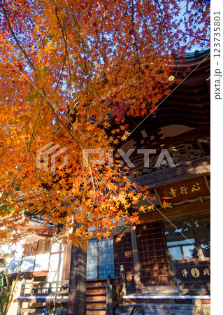 港北ニュータウン・心行寺の紅葉 123735801