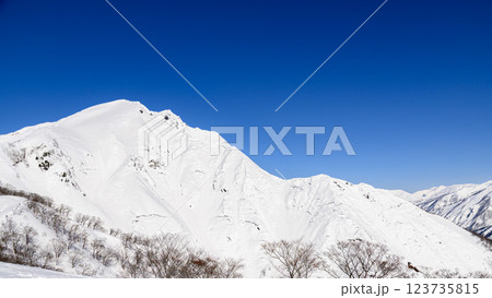(雪山登山・冬景色)天神尾根から見た谷川岳の絶景 (雪山登山・冬景色)天神尾根から見た谷川岳の絶景 123735815