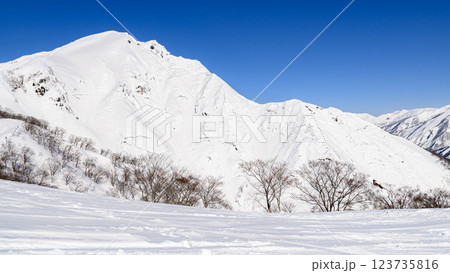 (雪山登山・冬景色)天神尾根から見た谷川岳の絶景 (雪山登山・冬景色)天神尾根から見た谷川岳の絶景 123735816