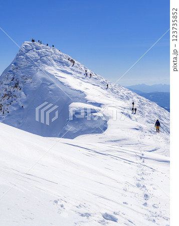 厳冬期の谷川岳・トマの耳の登頂する人たち 厳冬期の谷川岳・トマの耳の登頂する人たち 123735852