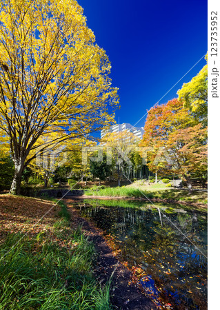 港北ニュータウン・大原みねみち公園の紅葉 123735952