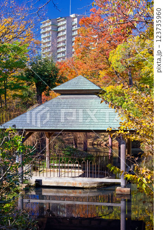 港北ニュータウン・大原みねみち公園の紅葉 123735960