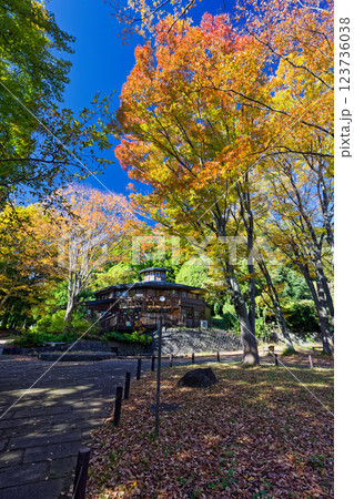 港北ニュータウン・鴨池公園の紅葉 123736038