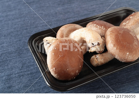 生しいたけ 123736050