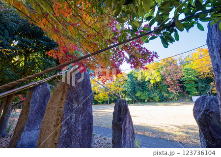 港北ニュータウン・葛ケ谷公園の紅葉 123736104