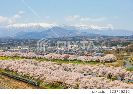 一目千本桜を走る電車 一目千本桜を走る電車 123736216