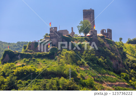 Ruins of Metternich Castle, Beilstein, Germany 123736222