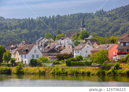 Traditional Village on the Moselle River near Cochem, Germany 123736223