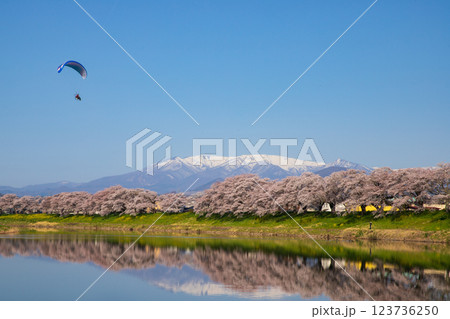 一目千本桜と蔵王 123736250