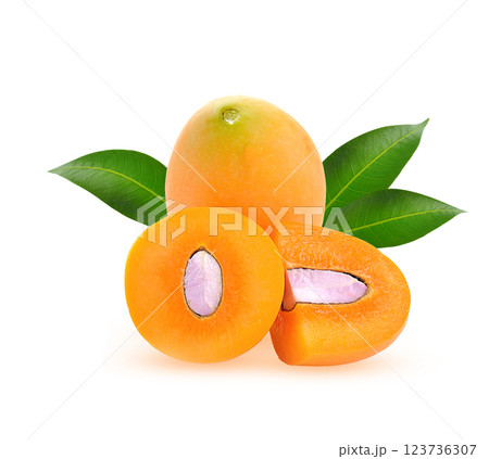 Closeup sweet Marian plum thai fruit isolated on white background (Mayongchid Thailand) . 123736307