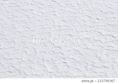白い雪に覆われた地面の模様 123736367