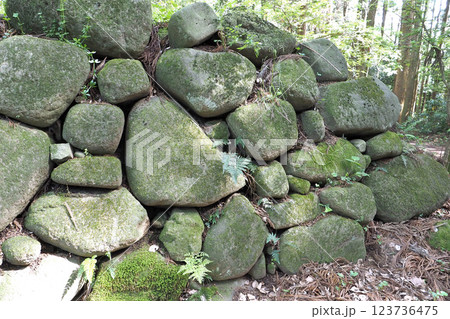 箕輪城  三ノ丸跡の石垣【群馬県高崎市】 123736475