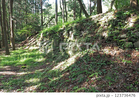 箕輪城  三ノ丸跡の石垣【群馬県高崎市】 箕輪城  三ノ丸跡の石垣【群馬県高崎市】 123736476