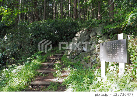 箕輪城  鍛冶曲輪の石垣【群馬県高崎市】 箕輪城  鍛冶曲輪の石垣【群馬県高崎市】 123736477