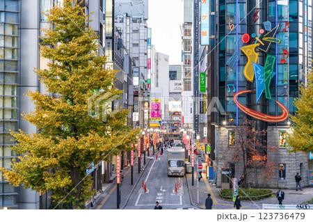 「東京都」西新宿　秋の旧青梅街道の風景　 123736479