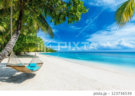 Tropical beach background as summer relax landscape with beach swing or hammock and white sand and calm sea for beach template. Amazing beach scene vacation and summer holiday concept. Luxury travel Tropical beach background as summer relax landscape with beach swing or hammock and white sand and calm sea for beach template. Amazing beach scene vacation and summer holiday concept. Luxury travel 123736539